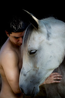 equus53web.jpg